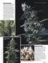 Page: - 57 | High Times