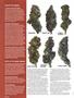 Page: - 66 | High Times