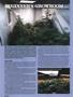 Page: - 92 | High Times