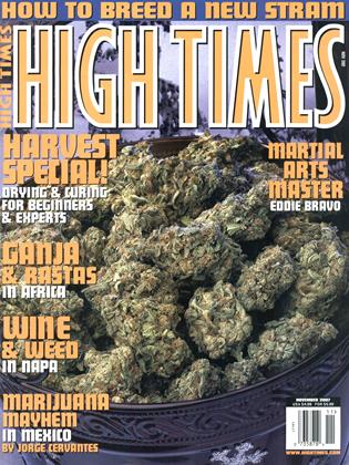 NOVEMBER 2007 | High Times