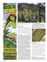 Page: - 104 | High Times