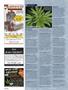 Page: - 108 | High Times