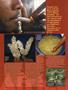Page: - 40 | High Times