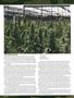 Page: - 68 | High Times