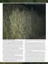 Page: - 70 | High Times
