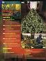Page: - 8 | High Times