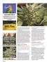 Page: - 104 | High Times