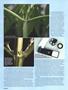Page: - 38 | High Times