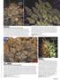 Page: - 63 | High Times
