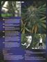 Page: - 8 | High Times