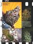 Page: - 89 | High Times