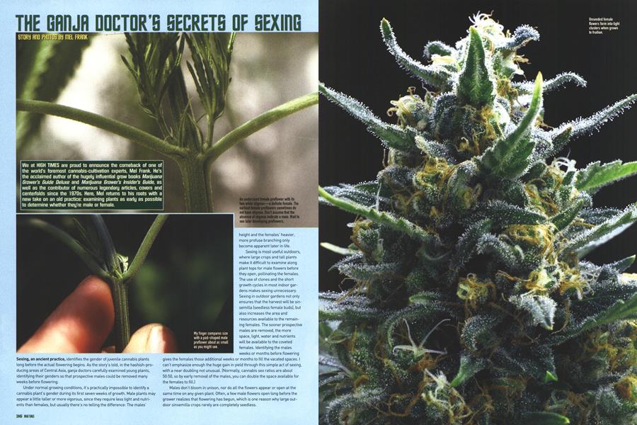 THE GANJA DOCTOR'S SECRETS OF SEXING