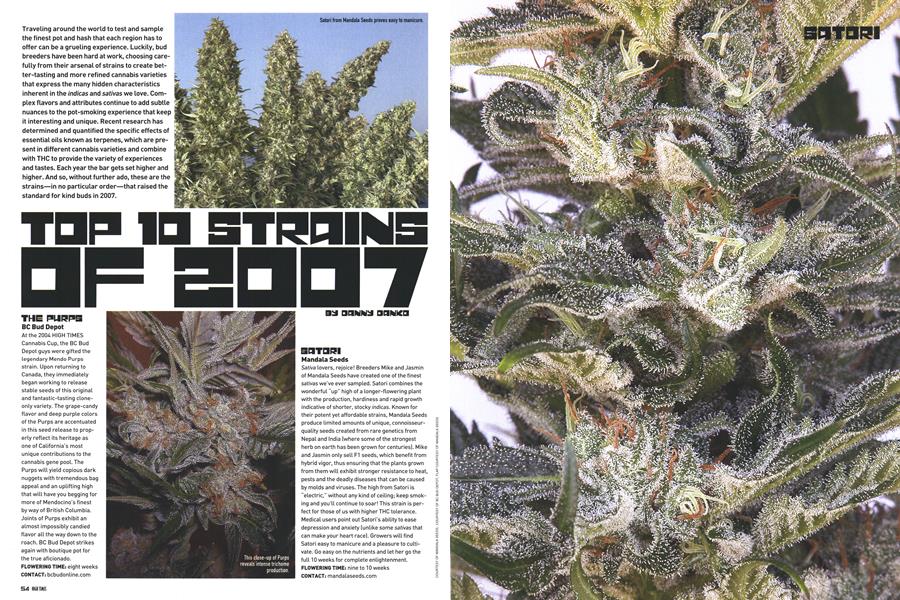 TOP 10 STRAINS OF 2007
