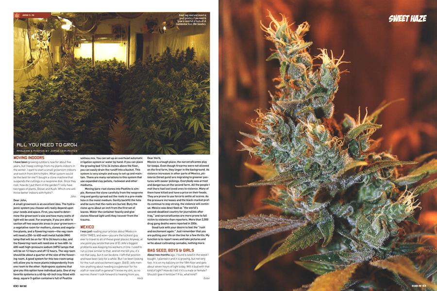 ALL YOU NEED TO GROW