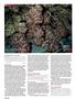 Page: - 100 | High Times