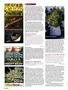 Page: - 104 | High Times