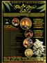 Page: - 120 | High Times