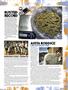 Page: - 13 | High Times