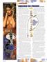 Page: - 32 | High Times