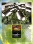 Page: - 48 | High Times