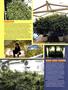 Page: - 65 | High Times