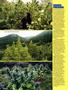 Page: - 68 | High Times