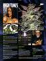 Page: - 8 | High Times