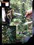 Page: - 90 | High Times