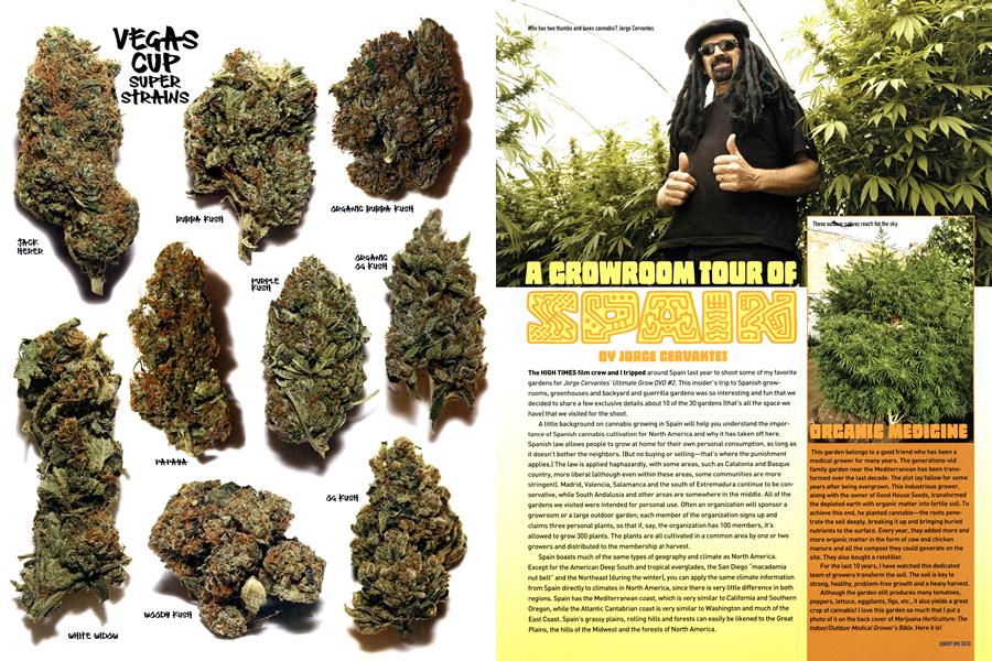 A GROWROOM TOUR OF SPAIN