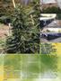 Page: - 38 | High Times