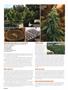 Page: - 92 | High Times