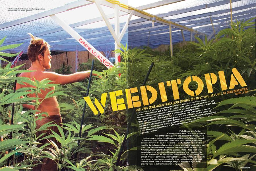 WEEDITOPIA