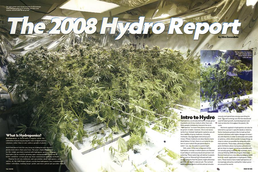 The 2008 Hydro Report