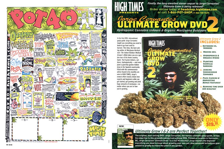 POT 40