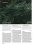 Page: - 100 | High Times