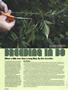 Page: - 36 | High Times