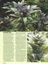 Page: - 38 | High Times