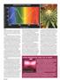 Page: - 50 | High Times
