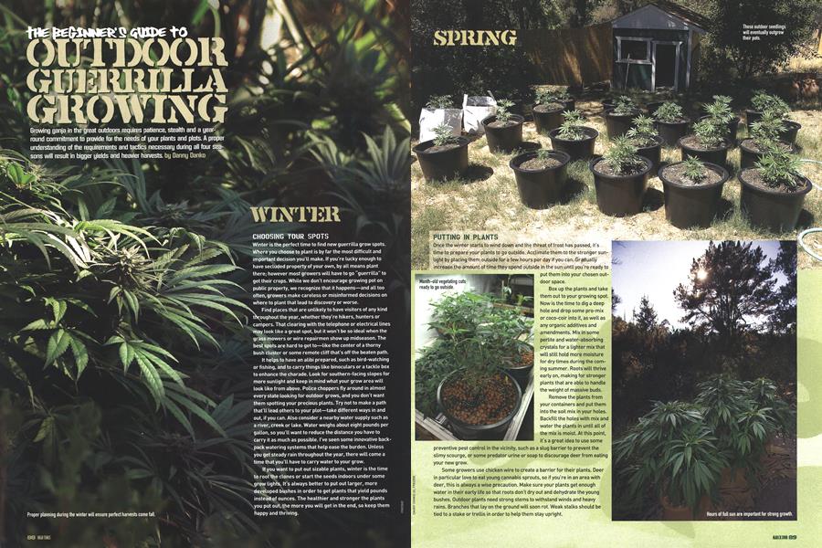 THE BEGINNER'S GUIDE TO OUTDOOR GUERRILLA GROWING