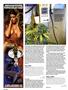 Page: - 102 | High Times