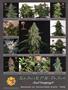 Page: - 120 | High Times