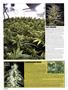 Page: - 40 | High Times