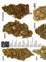 Page: - 60 | High Times