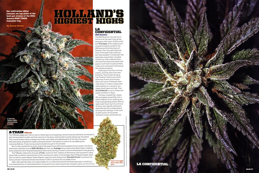 HOLLAND'S HIGHEST HIGHS