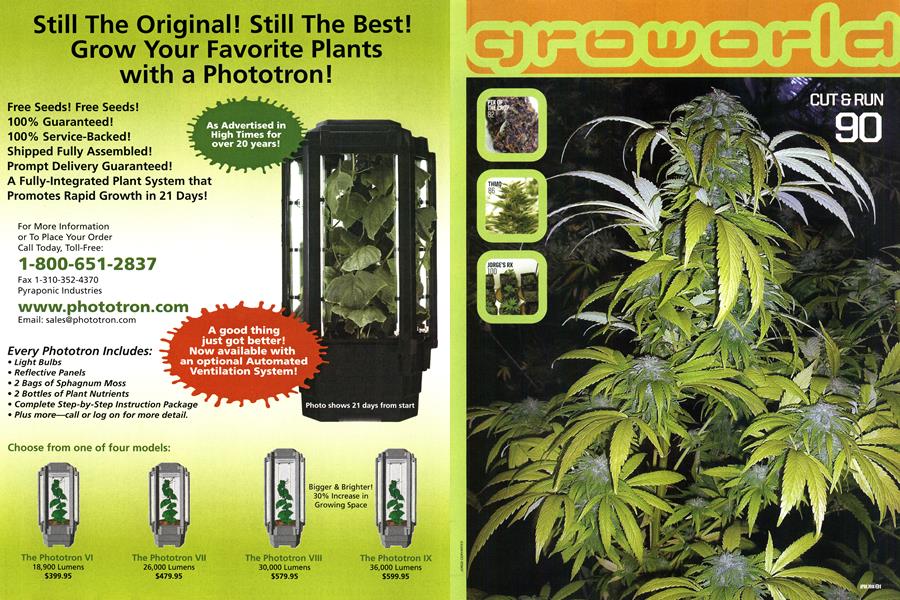 PIX OF THE CROP
