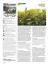 Page: - 102 | High Times