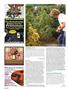 Page: - 104 | High Times