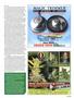 Page: - 105 | High Times