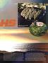 Page: - 39 | High Times