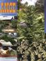 Page: - 47 | High Times